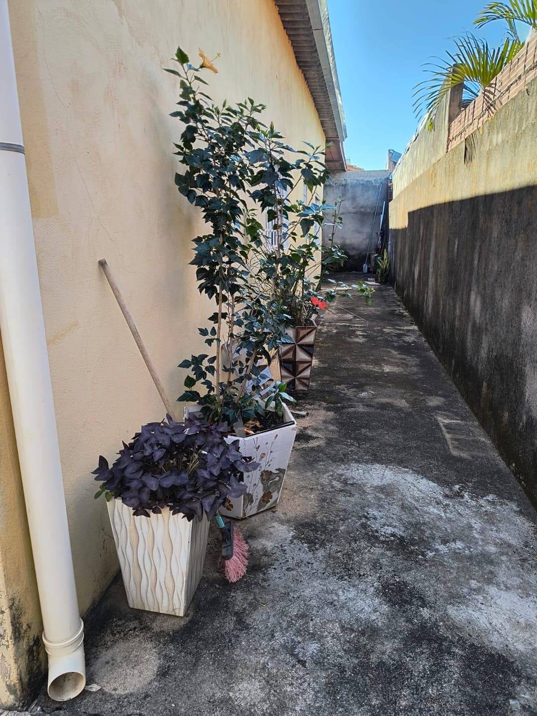 Casa à venda com 3 quartos, 180m² - Foto 4