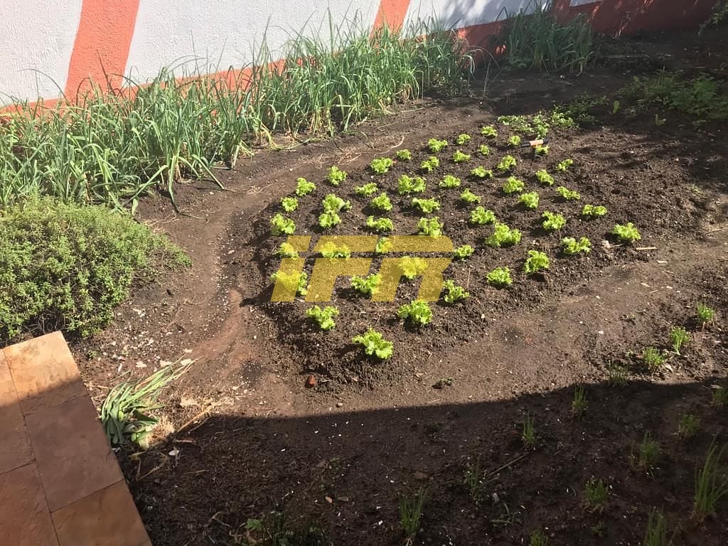 Casa, 4 quartos, 322 m² - Foto 29