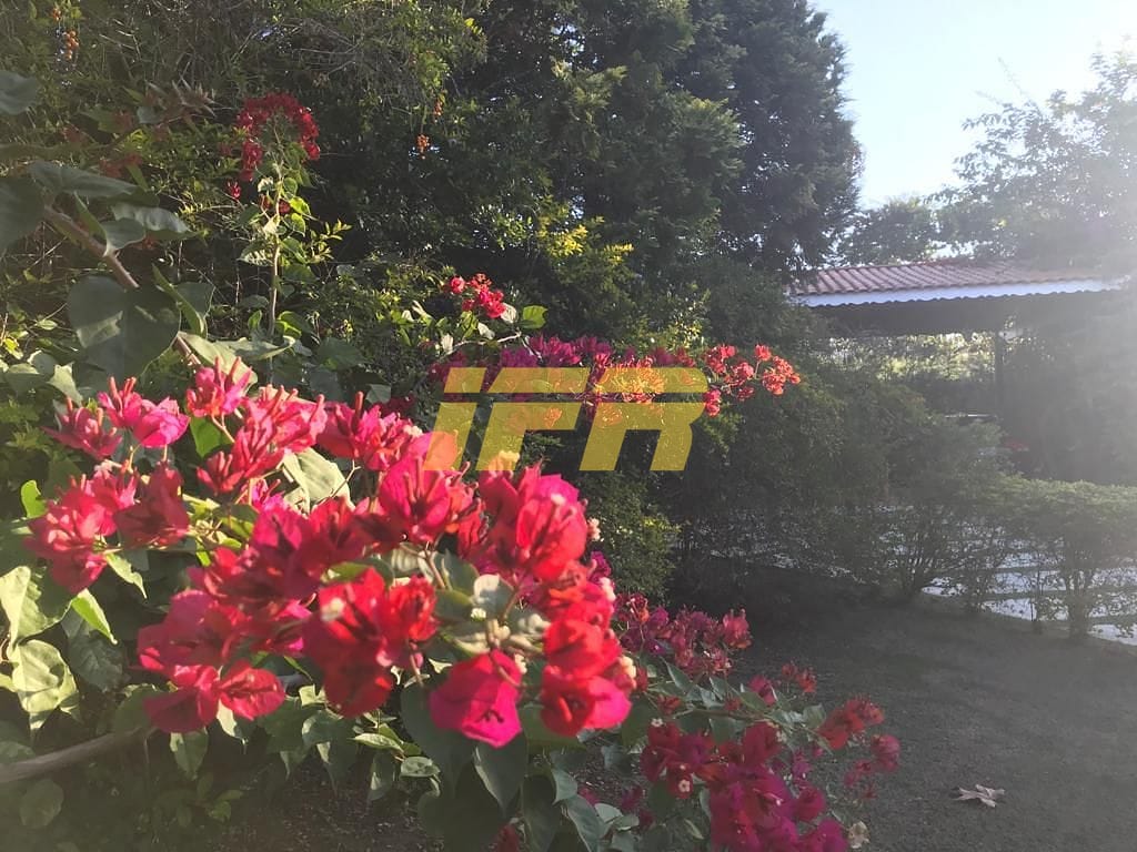 Casa, 4 quartos, 322 m² - Foto 7