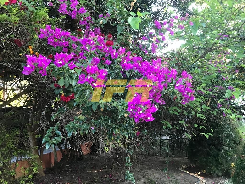 Casa, 4 quartos, 322 m² - Foto 13