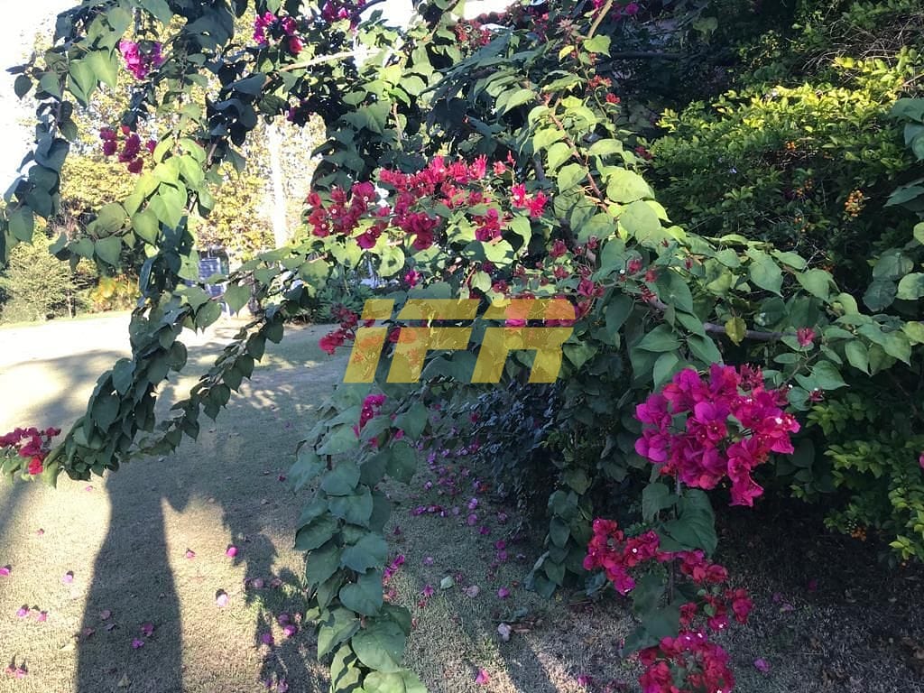 Casa, 4 quartos, 322 m² - Foto 8