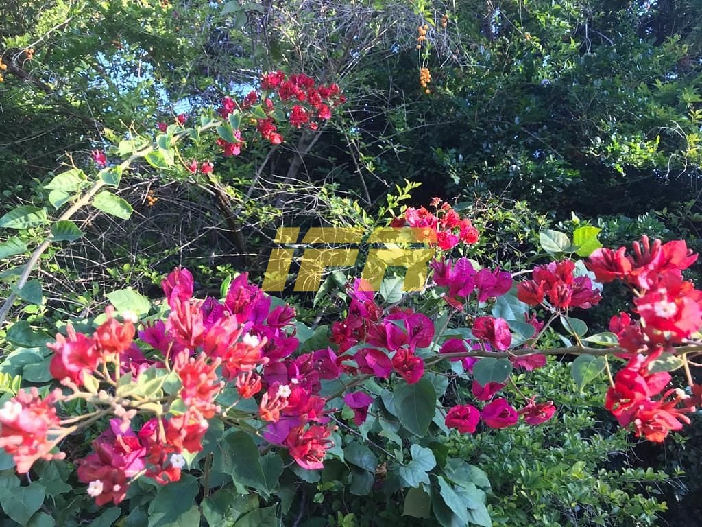 Casa, 4 quartos, 322 m² - Foto 16