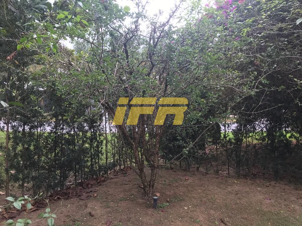 Casa, 4 quartos, 322 m² - Foto 31