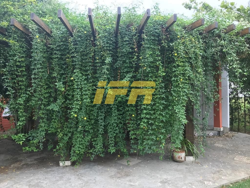 Casa, 4 quartos, 322 m² - Foto 33