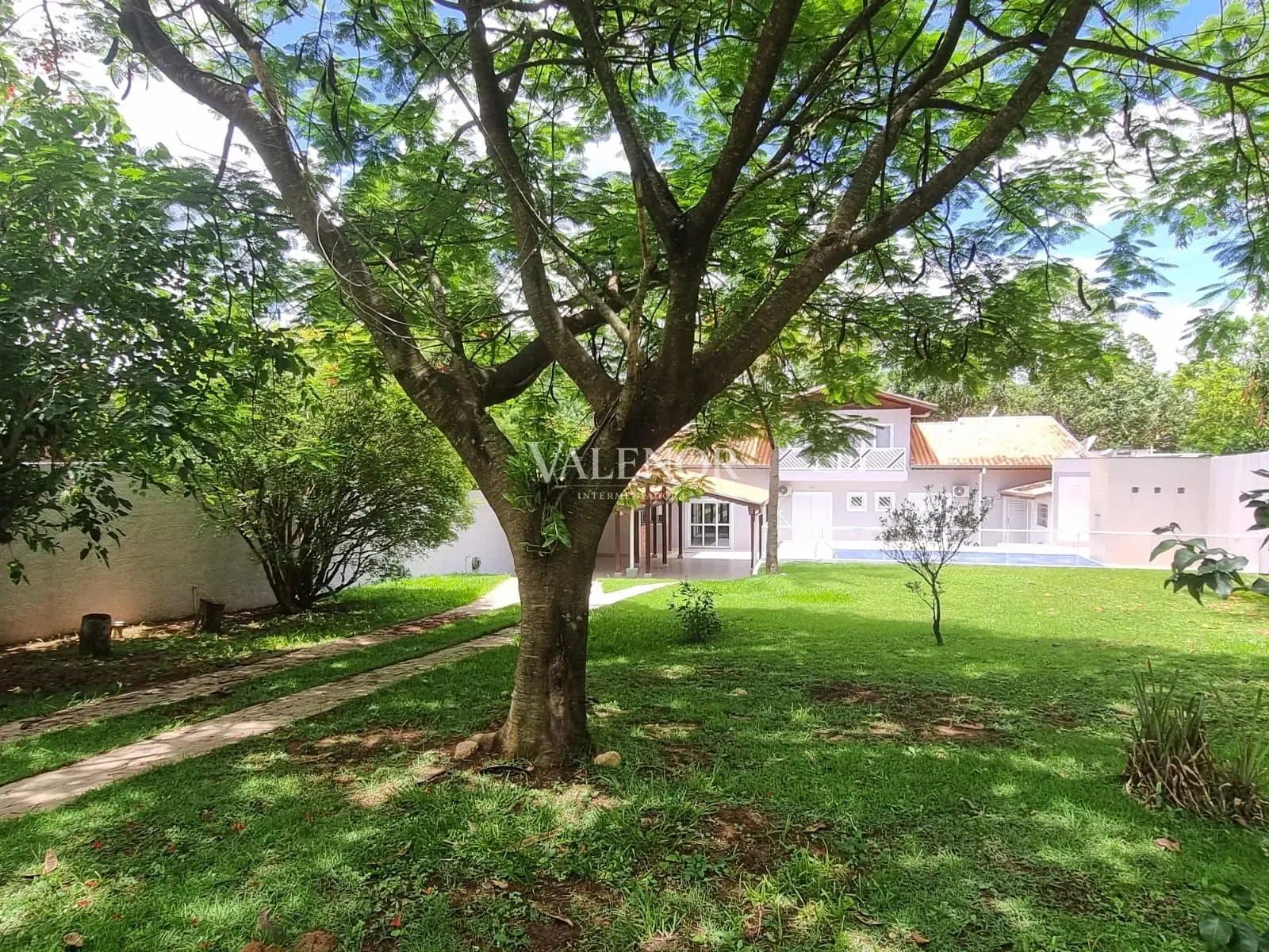 Casa, 3 quartos, 1000 m² - Foto 6