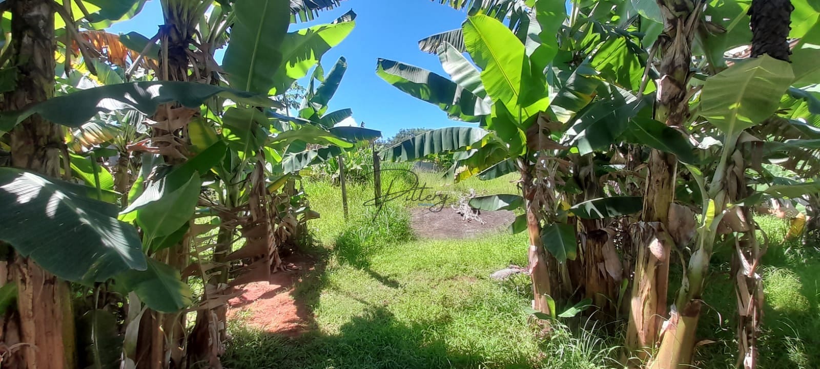 Casa à venda com 3 quartos, 80m² - Foto 3