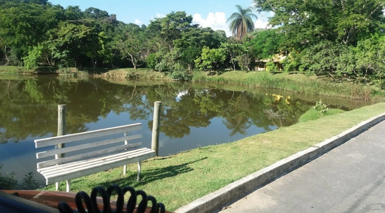 Casa, 5 quartos, 600 m² - Foto 19