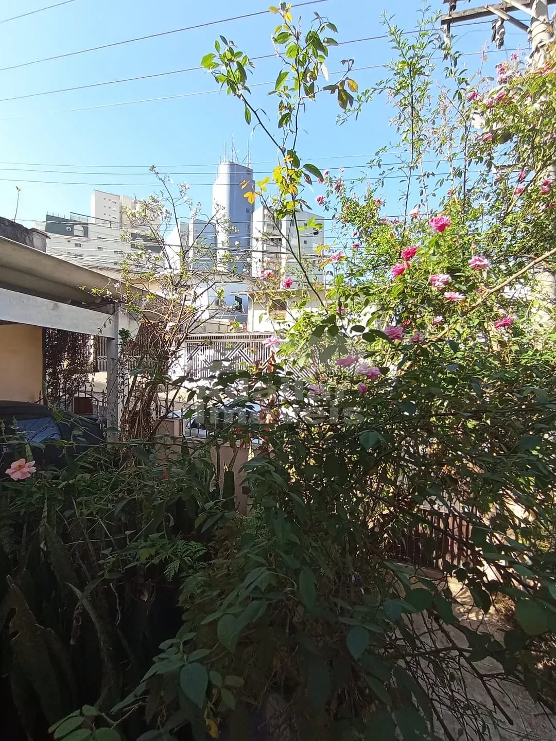 Casa, 3 quartos, 133 m² - Foto 9