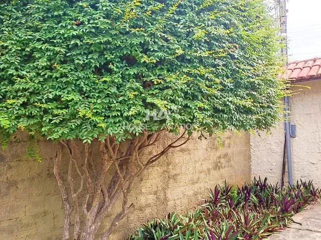 Casa com 614m² 3 quartos e 3 banheiros, à venda, no bairro Jardim Goiás em Goiânia