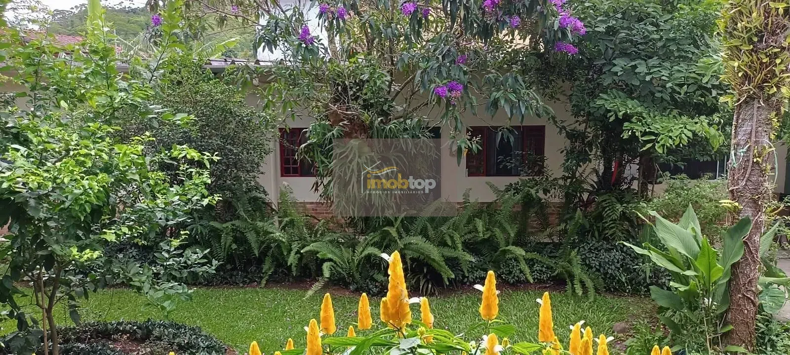 Casa, 6 quartos, 367 m² - Foto 5