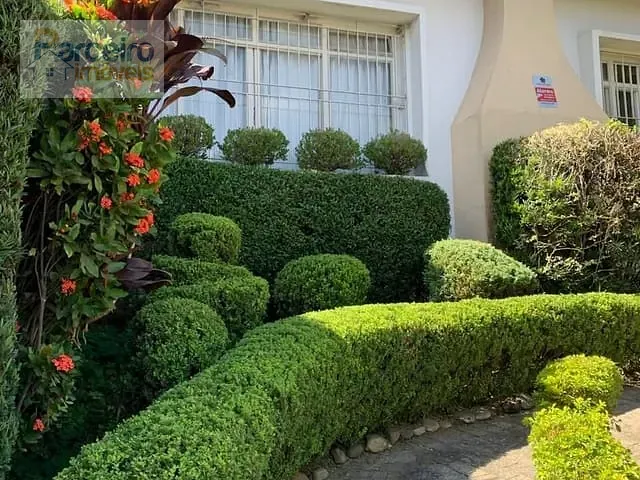 Casa com 500m² 4 quartos e 3 banheiros, à venda, no bairro Penha em São Paulo