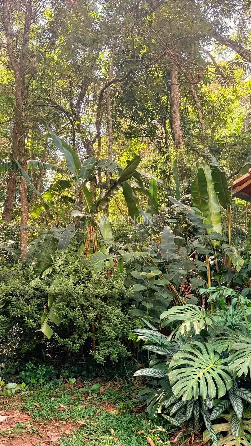 Casa, 5 quartos, 4700 m² - Foto 20