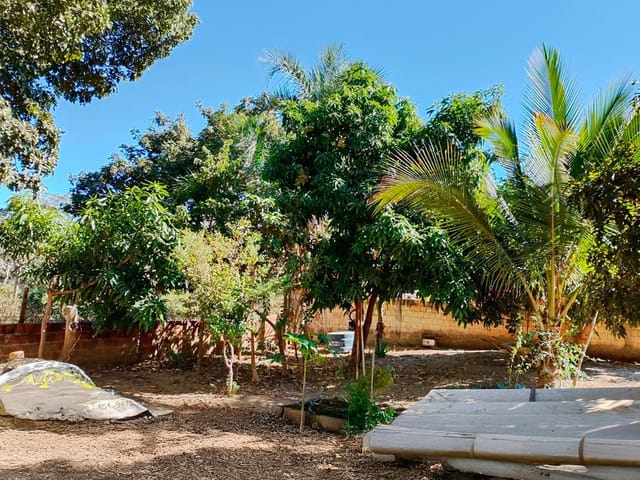 Casa 4 quartos e 2 banheiros, à venda, no bairro al em Alexânia