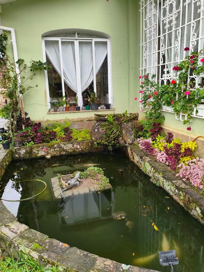 Casa, 6 quartos, 600 m² - Foto 7