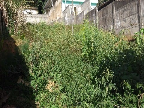 Casa à venda e locação 2 Quartos, CENTRO, RIO POMBA - MG - foto 10