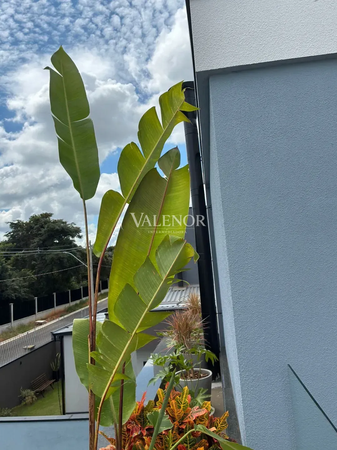 Casa, 3 quartos, 286 m² - Foto 55