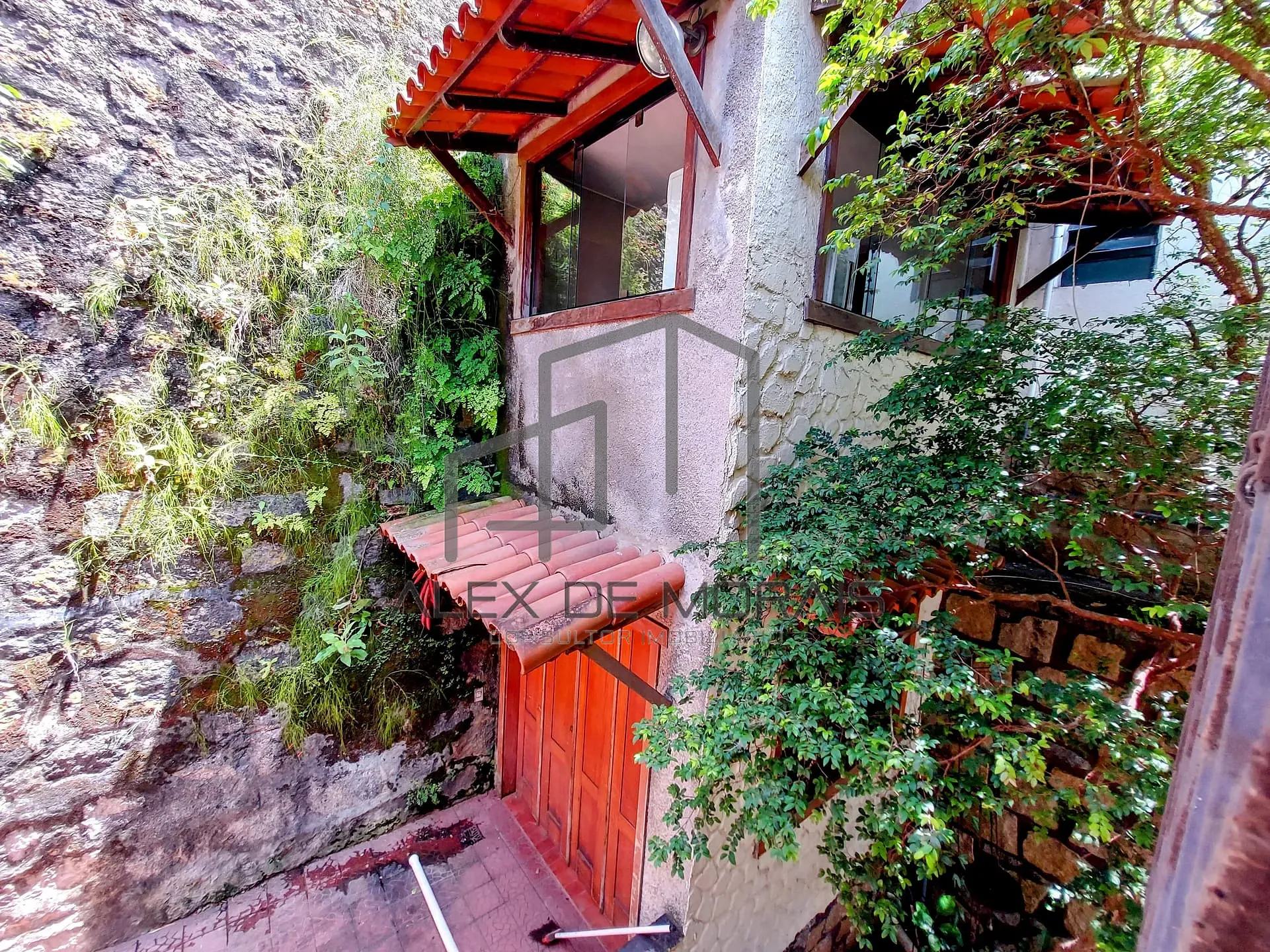 Casa, 5 quartos, 320 m² - Foto 28