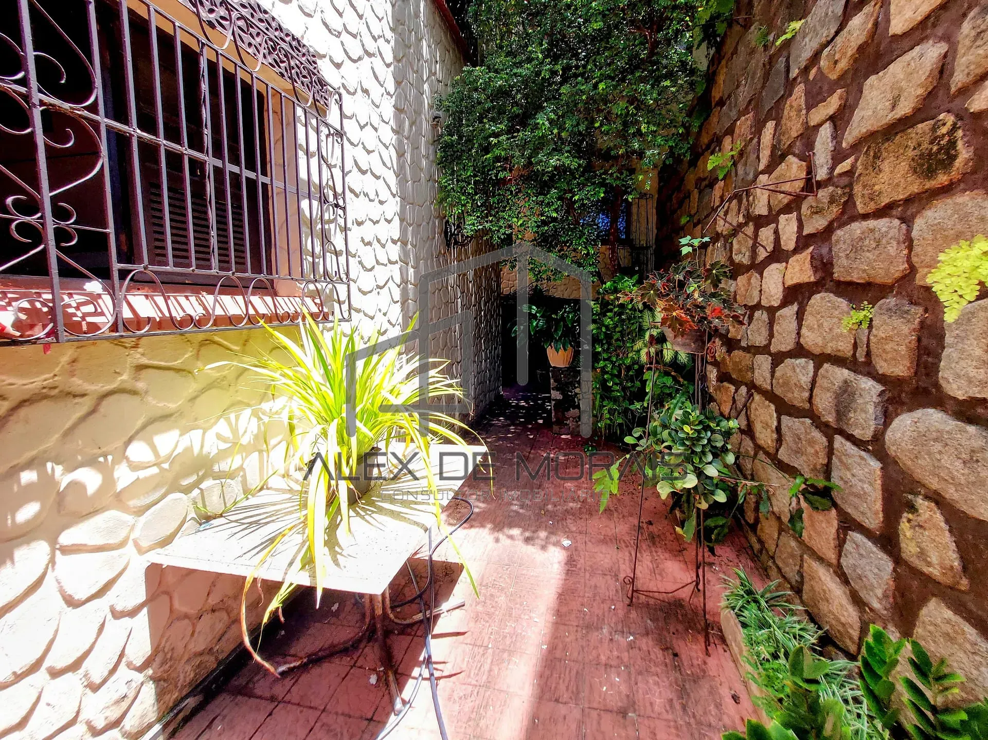 Casa, 5 quartos, 320 m² - Foto 33