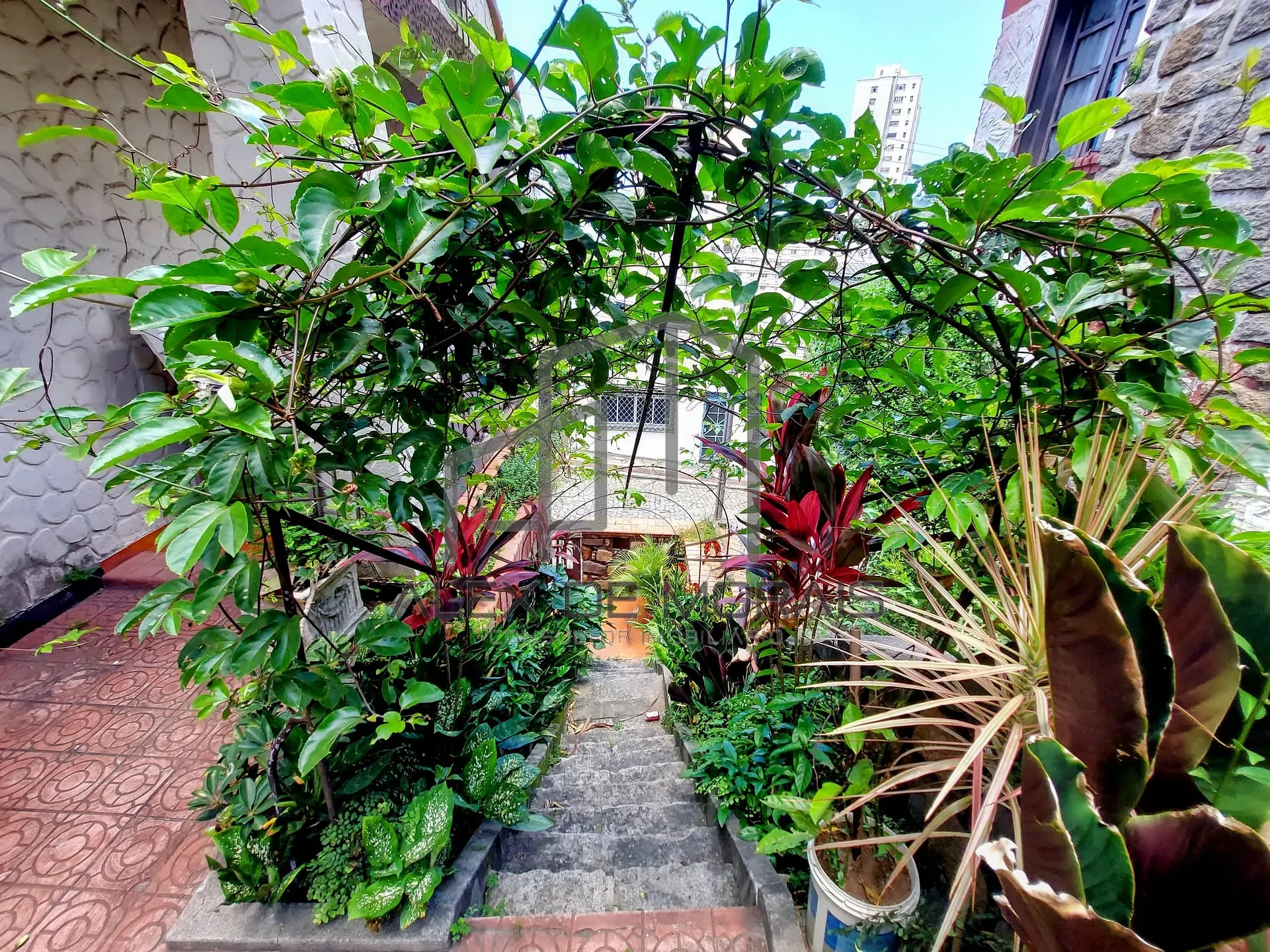 Casa, 5 quartos, 320 m² - Foto 37