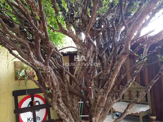Casa com 490m² 3 quartos e 3 banheiros, à venda, no bairro Setor Jaó em Goiânia