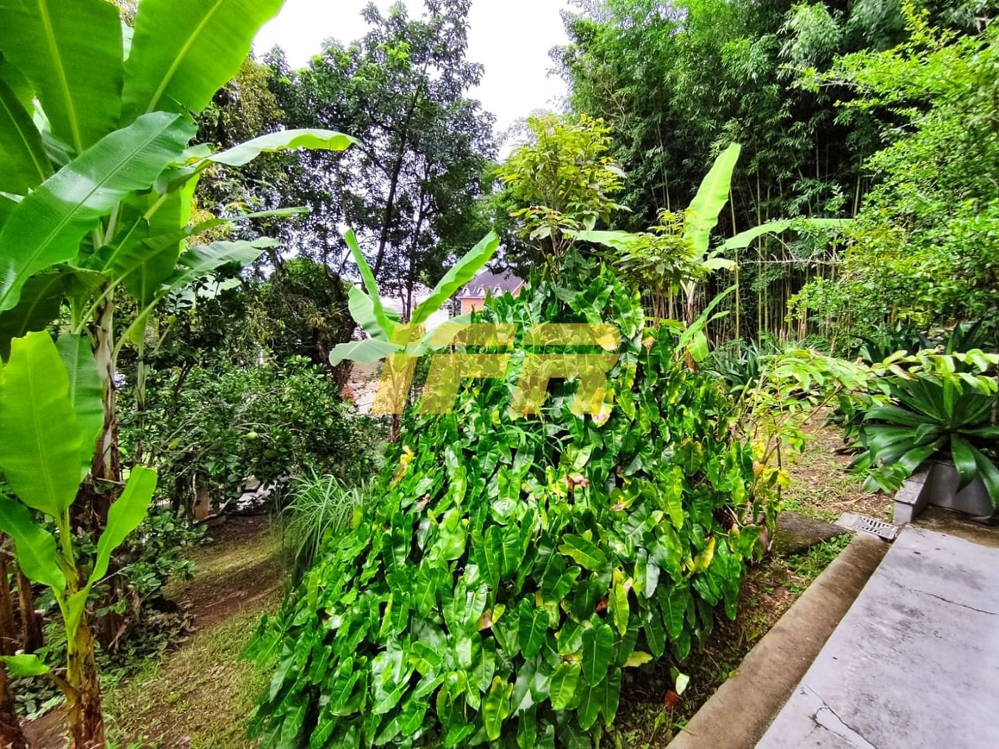 Casa, 4 quartos, 305 m² - Foto 58