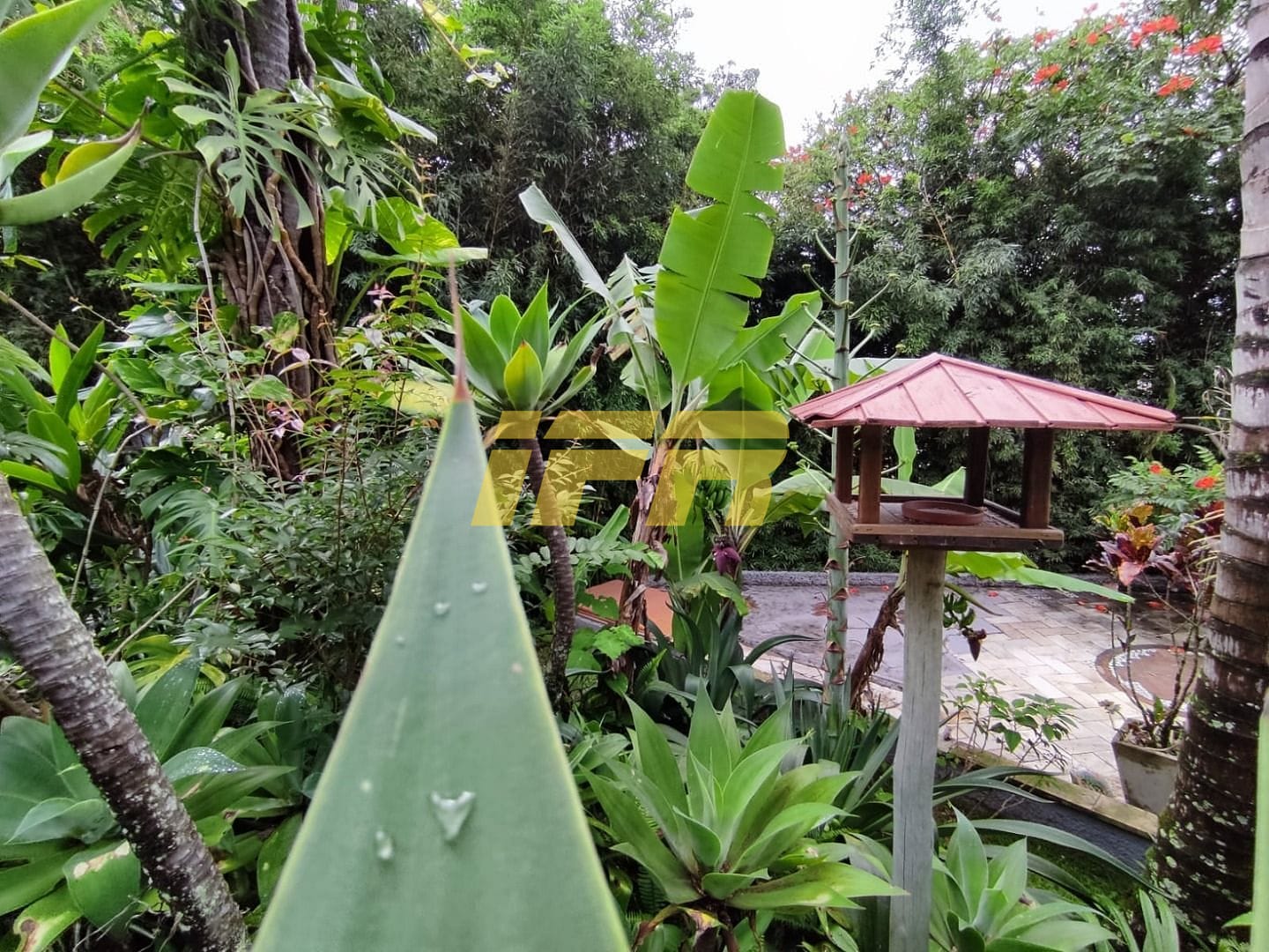 Casa, 4 quartos, 305 m² - Foto 59