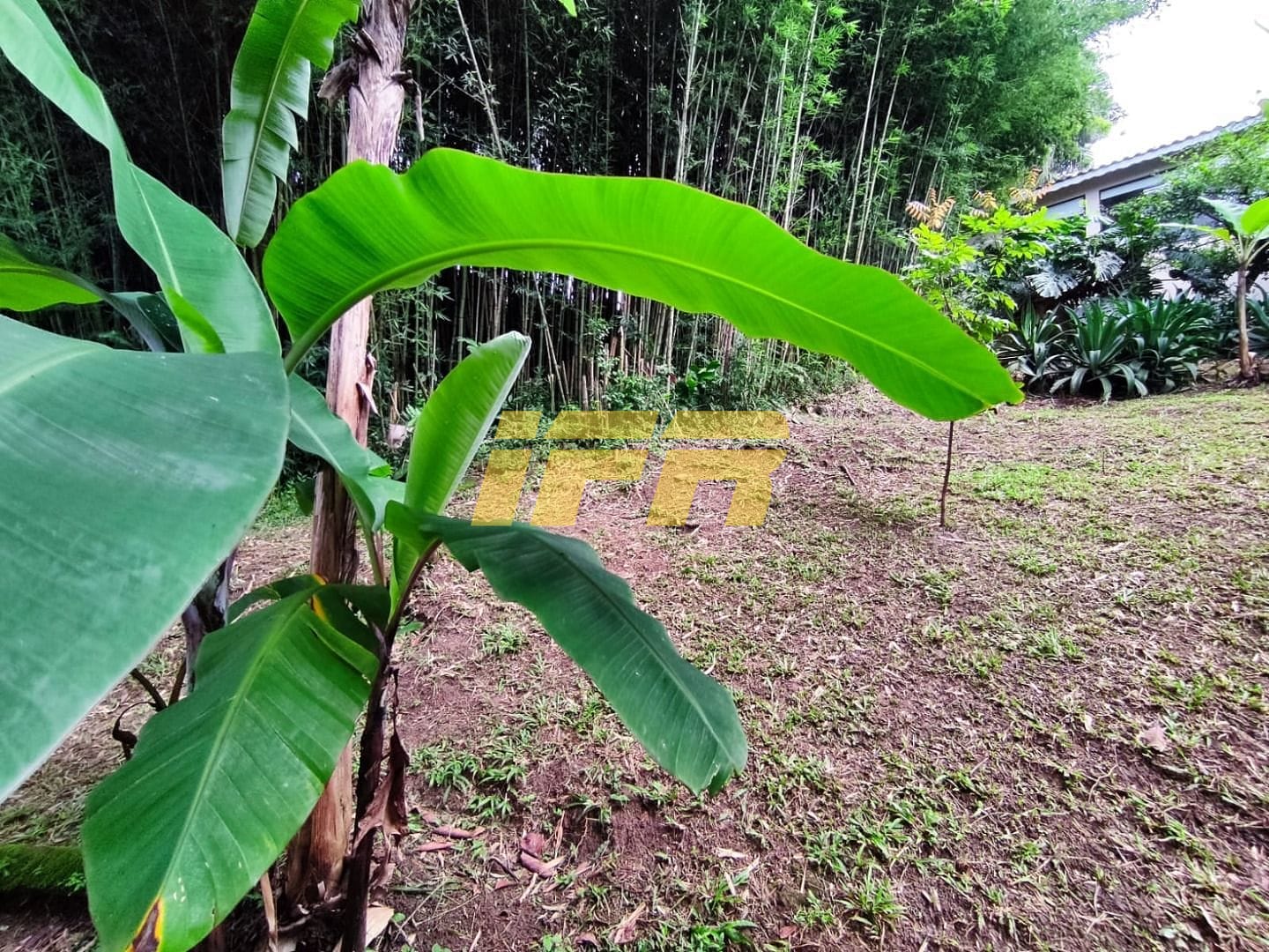 Casa, 4 quartos, 305 m² - Foto 74