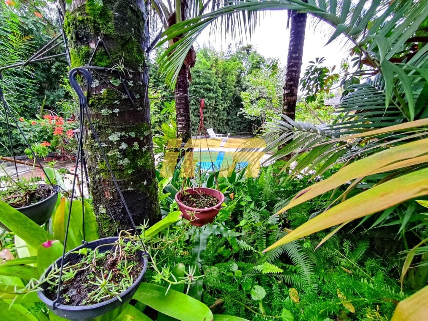 Casa, 4 quartos, 305 m² - Foto 102