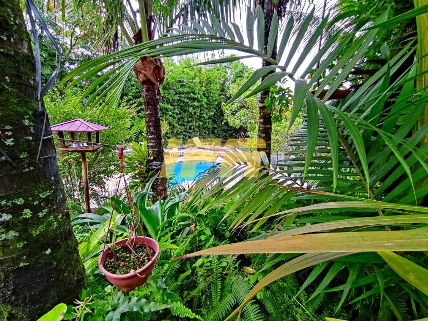 Casa, 4 quartos, 305 m² - Foto 101