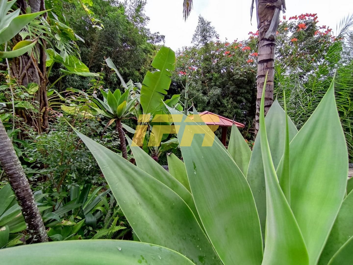 Casa, 4 quartos, 305 m² - Foto 61