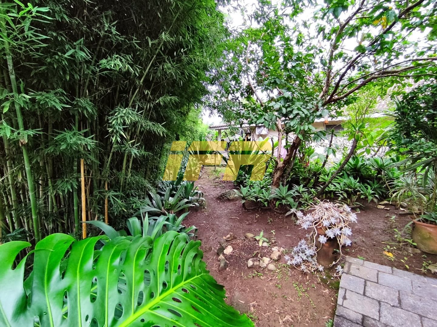 Casa, 4 quartos, 305 m² - Foto 44