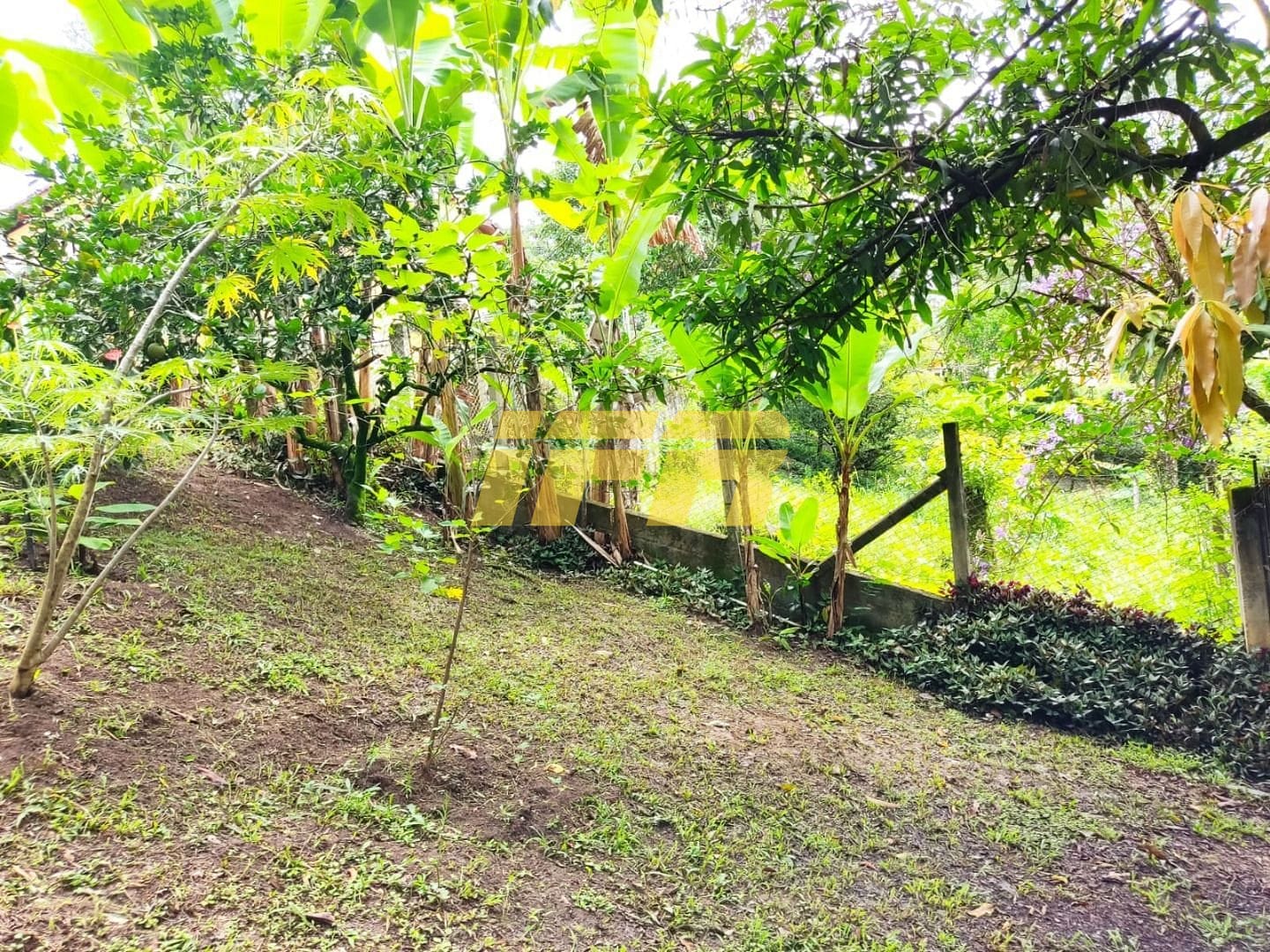 Casa, 4 quartos, 305 m² - Foto 79