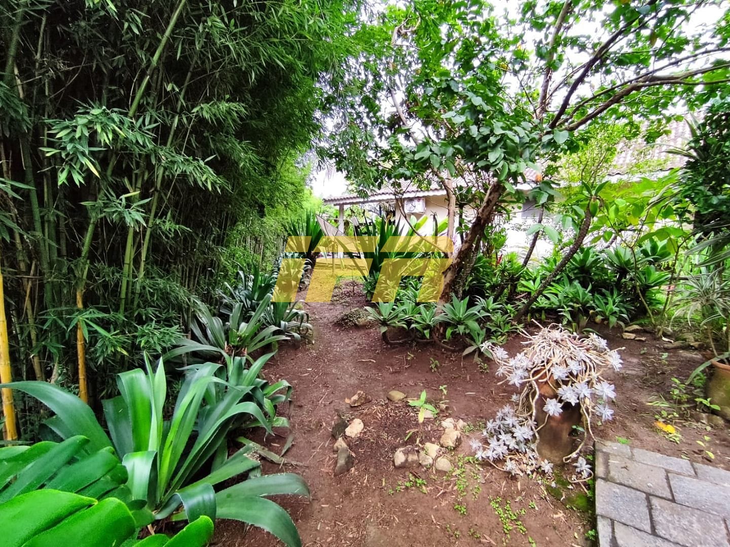 Casa, 4 quartos, 305 m² - Foto 72