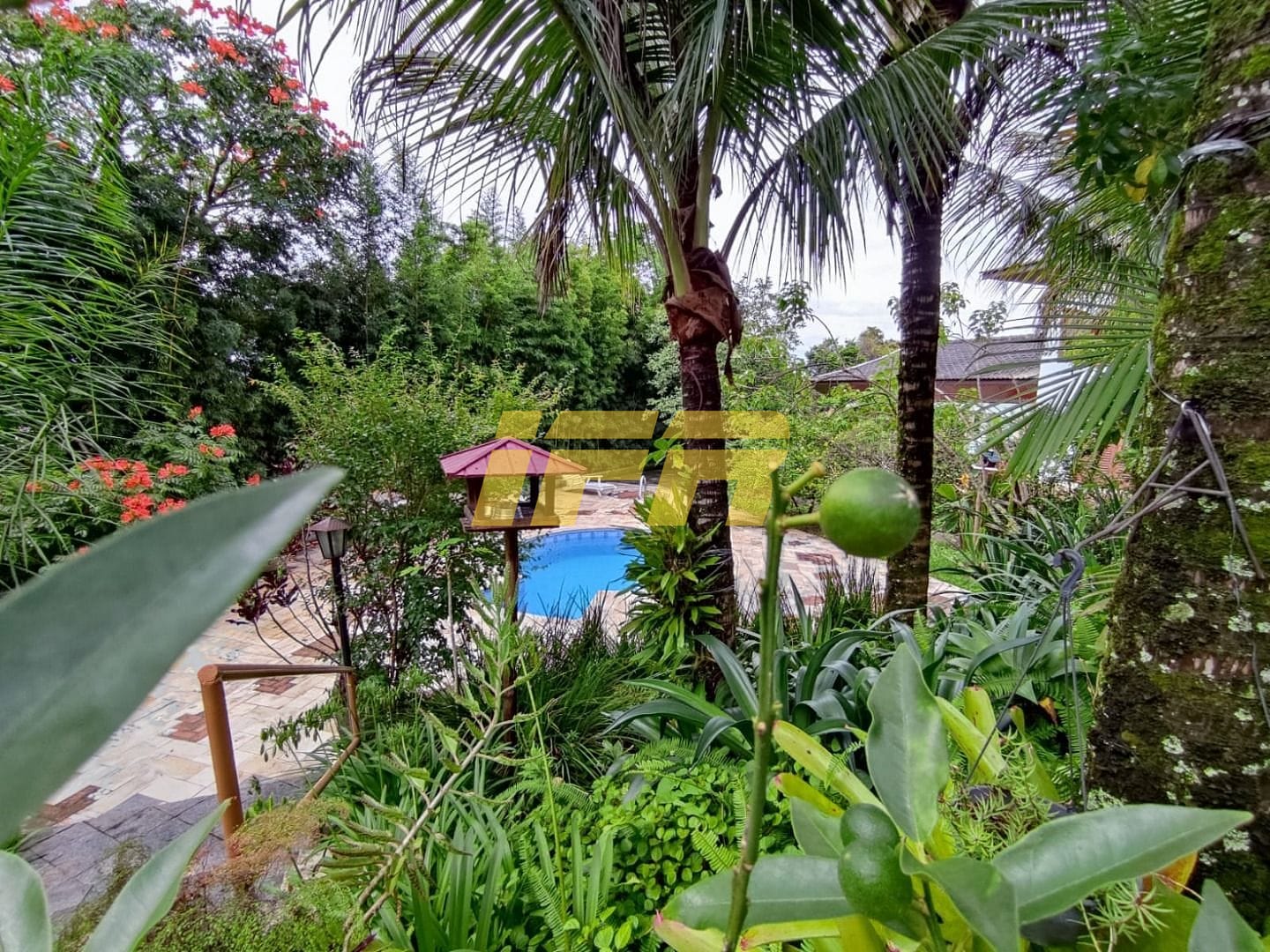 Casa, 4 quartos, 305 m² - Foto 62