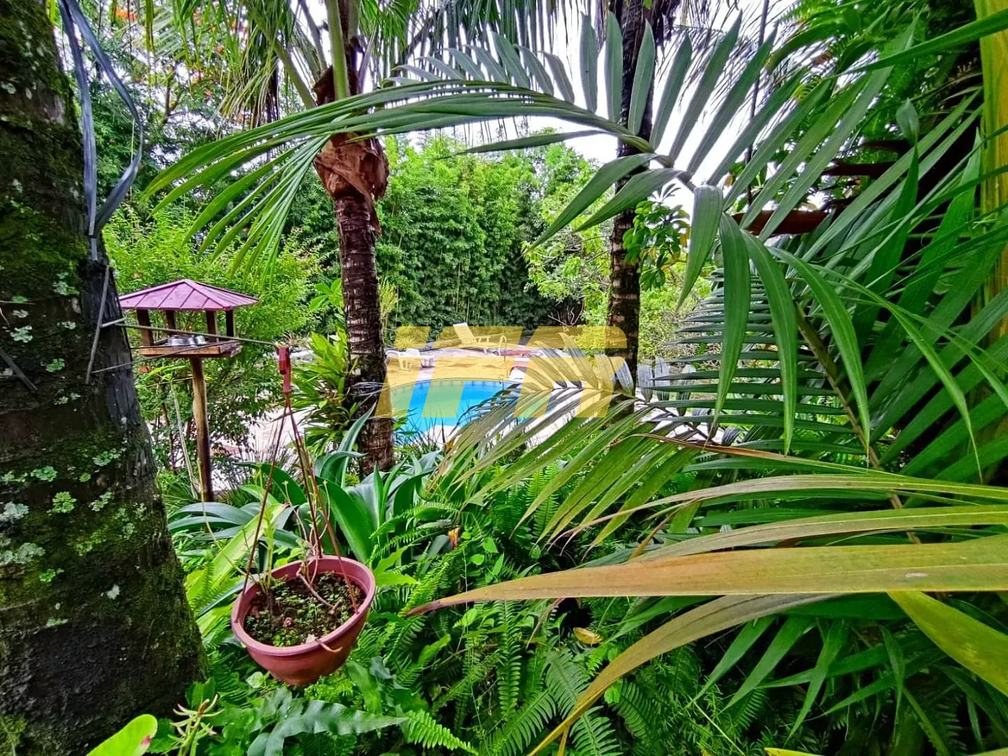 Casa, 4 quartos, 305 m² - Foto 101