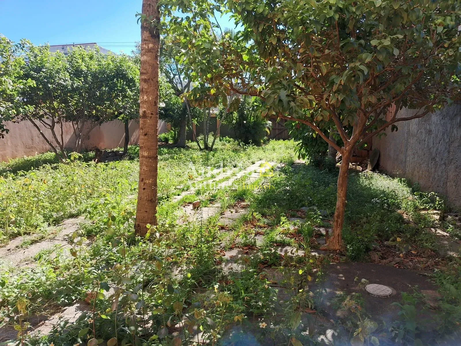 Casa, 6 quartos, 170 m² - Foto 7