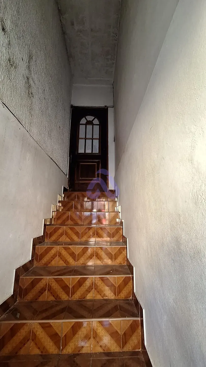 Casa, 5 quartos, 250 m² - Foto 14