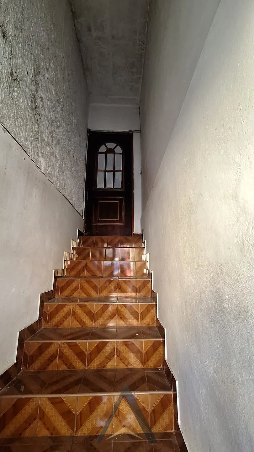 Casa, 5 quartos, 250 m² - Foto 14