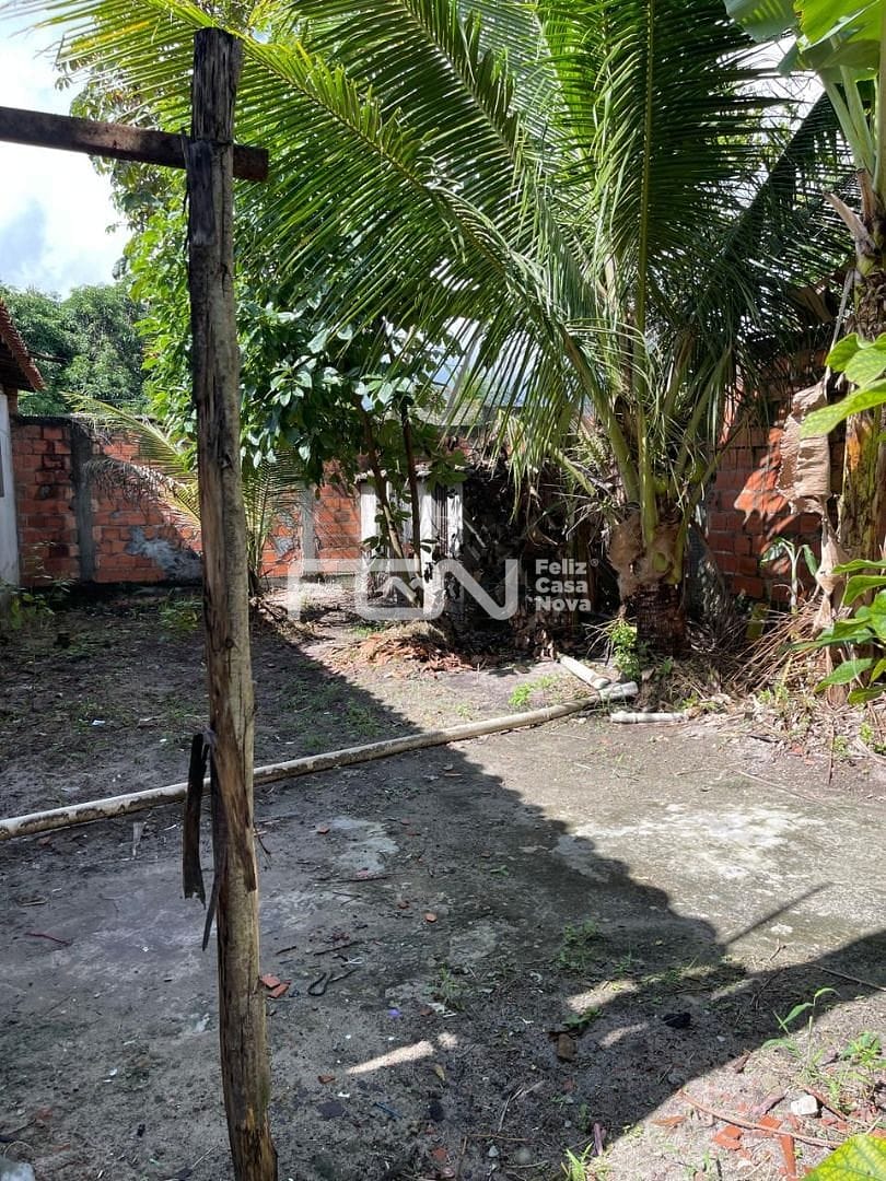Casa à venda com 3 quartos, 10m² - Foto 14