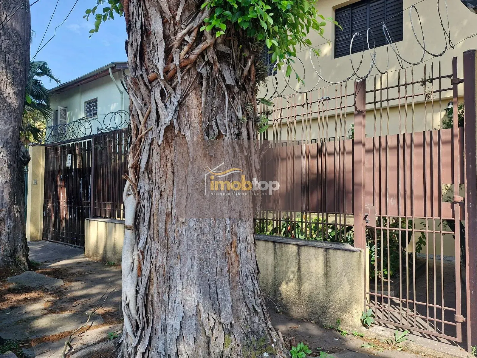 Casa, 3 quartos, 274 m² - Foto 15