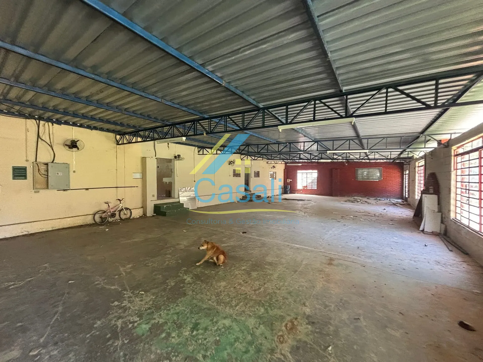 Casa, 1 quarto, 350 m² - Foto 6