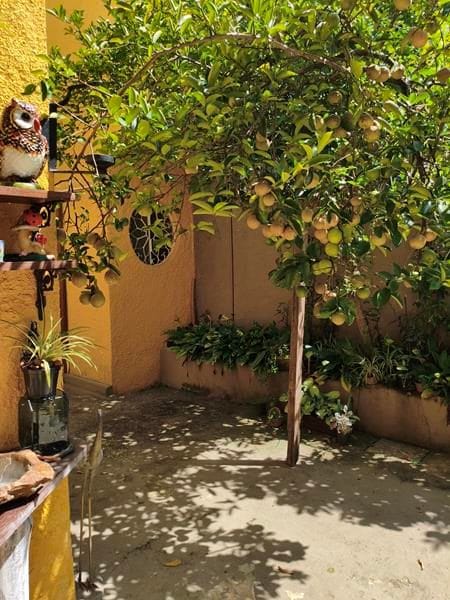 Casa, 3 quartos, 130 m² - Foto 11