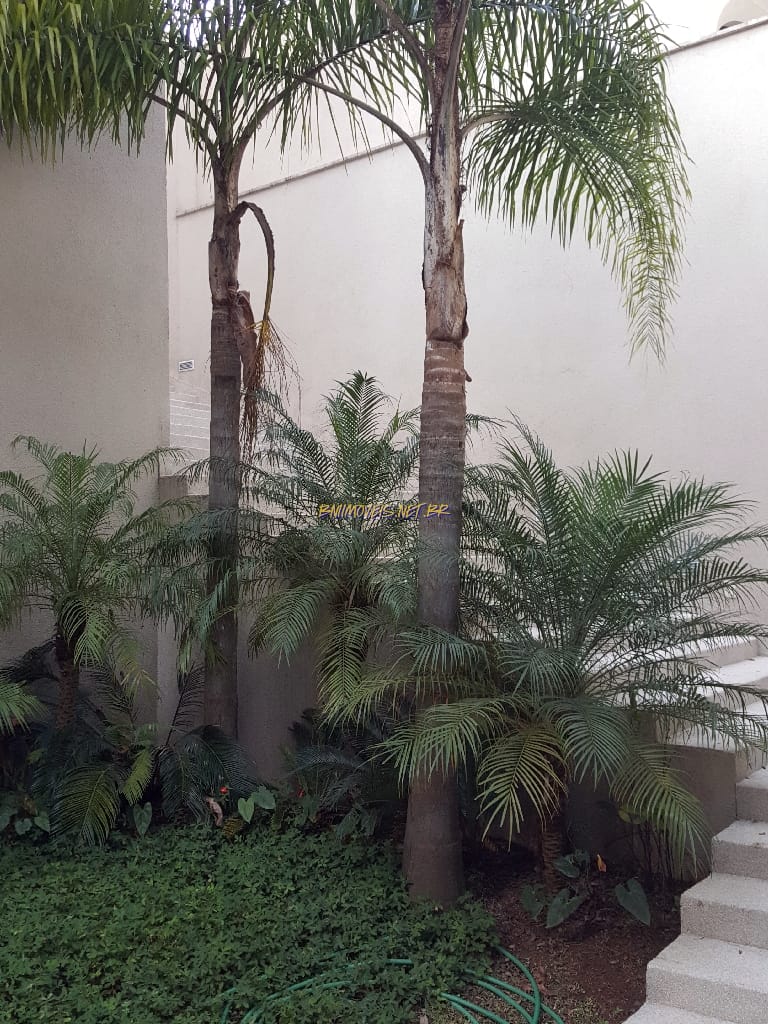 Casa, 4 quartos, 1000 m² - Foto 7