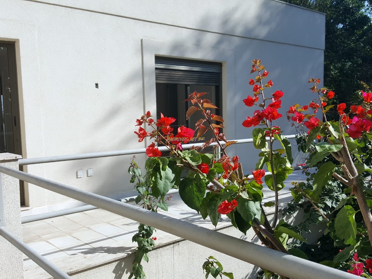 Casa, 4 quartos, 1000 m² - Foto 43