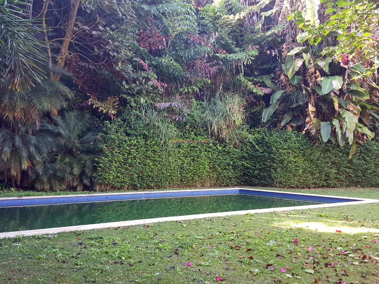 Casa, 4 quartos, 1000 m² - Foto 19