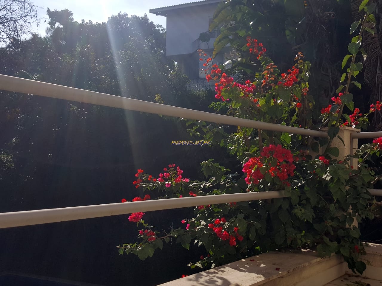 Casa, 4 quartos, 1000 m² - Foto 42