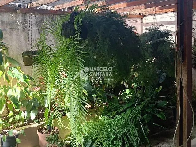 Casa com 300m² 3 quartos e 1 banheiro, à venda, no bairro Ibirapuera em Vitória da Conquista