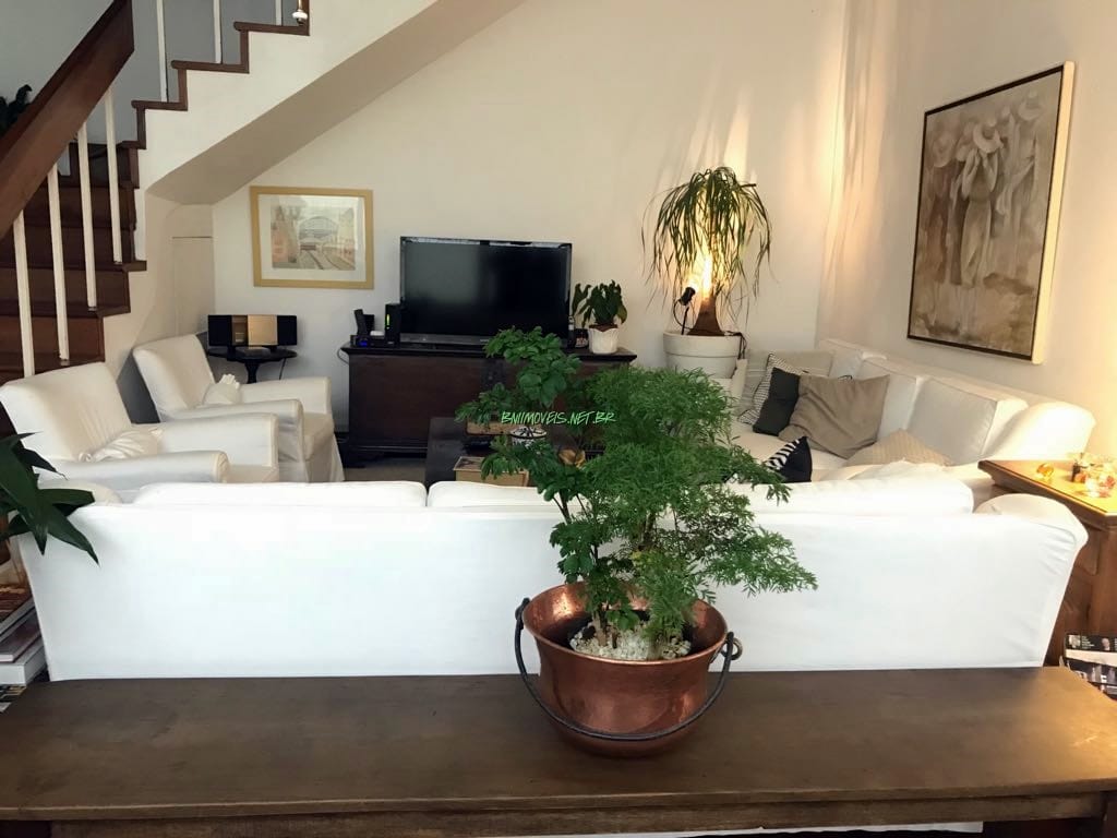 Casa, 4 quartos, 297 m² - Foto 1