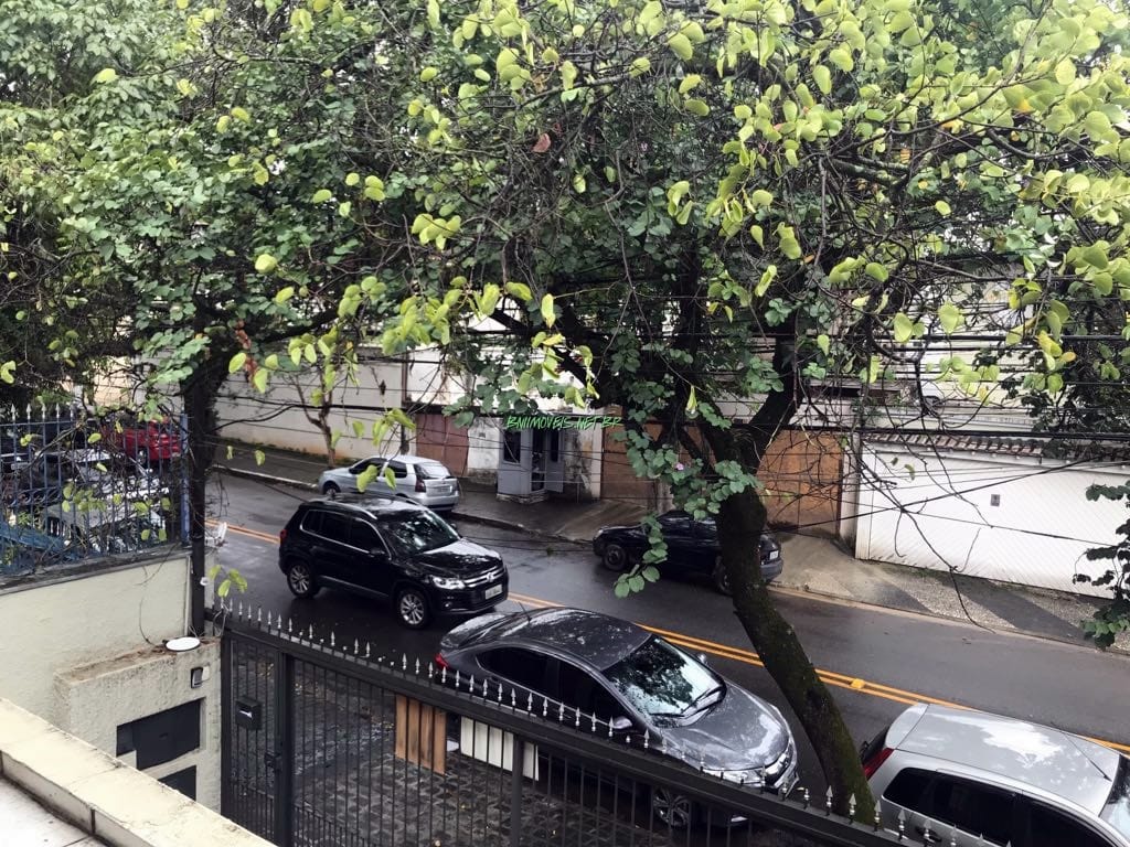 Casa, 4 quartos, 297 m² - Foto 12