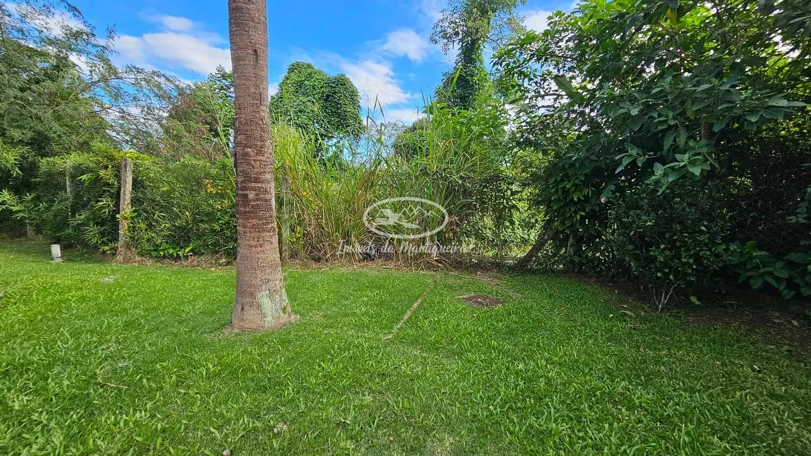 Casa, 5 quartos, 418 m² - Foto 14